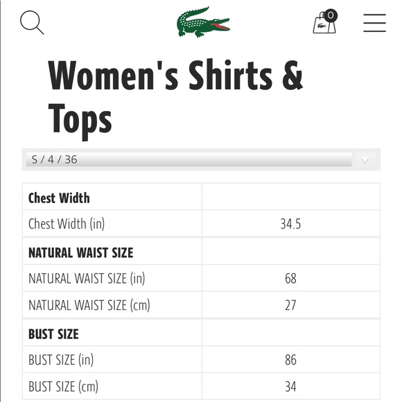 Lacoste🐊 Stretch Cotton Pique Polo Tee - Picture 4 of 4